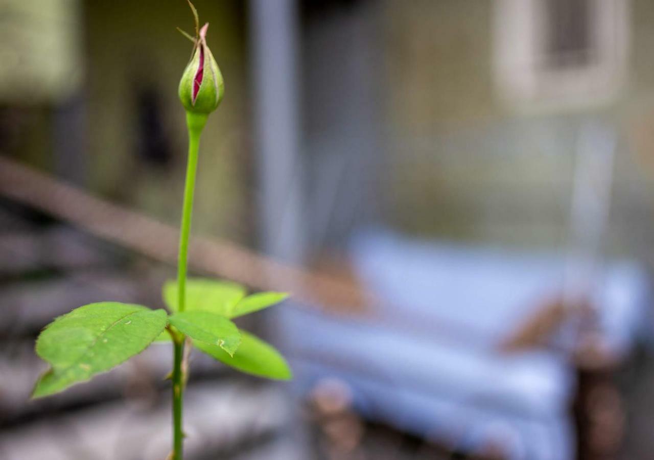 Tsera House Gori Exteriér fotografie